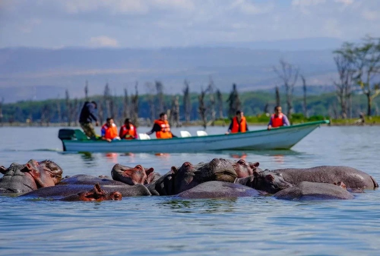 Discover Lake Naivasha
