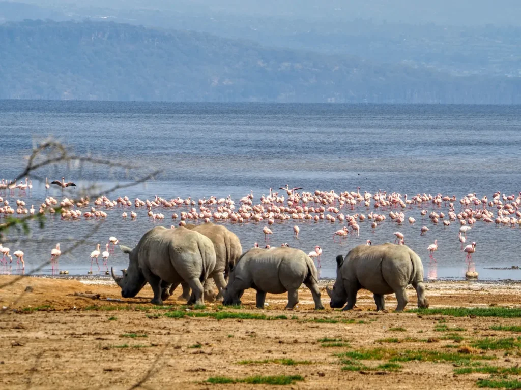 Lake Nakuru National Park