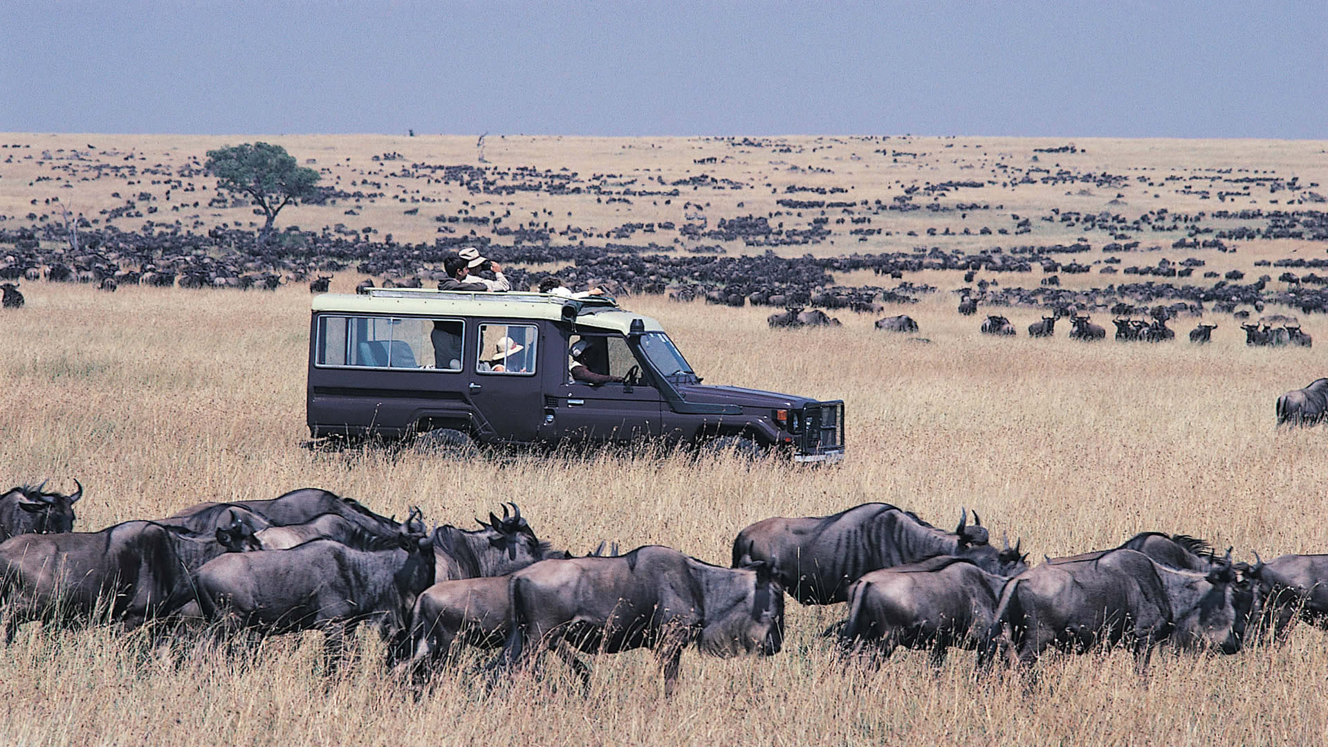 3-Day Masai Mara Safari – Kenya Wildlife & Big Five Adventure